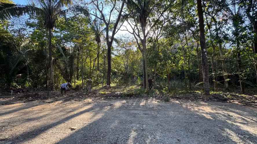 VENTA LOTE - Nosara $280,000 USD