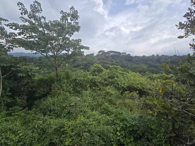 VENTA DE FINCA EN ATENAS SANTA EULALIA - Imagen 8