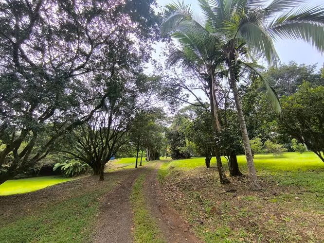 VENTA DE FINCA EN ATENAS SANTA EULALIA - Imagen 12