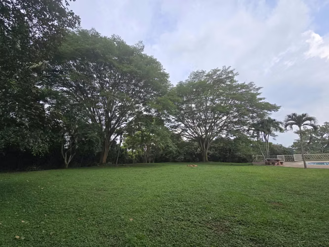 VENTA DE FINCA EN ATENAS SANTA EULALIA - Imagen 7