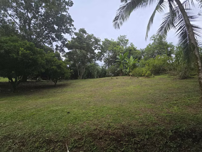 VENTA DE FINCA EN ATENAS SANTA EULALIA - Imagen 4