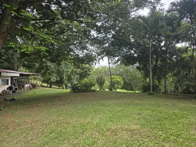 VENTA DE FINCA EN ATENAS SANTA EULALIA - Imagen 9