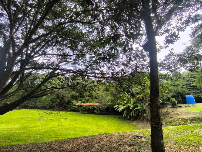 VENTA DE FINCA EN ATENAS SANTA EULALIA - Imagen 11