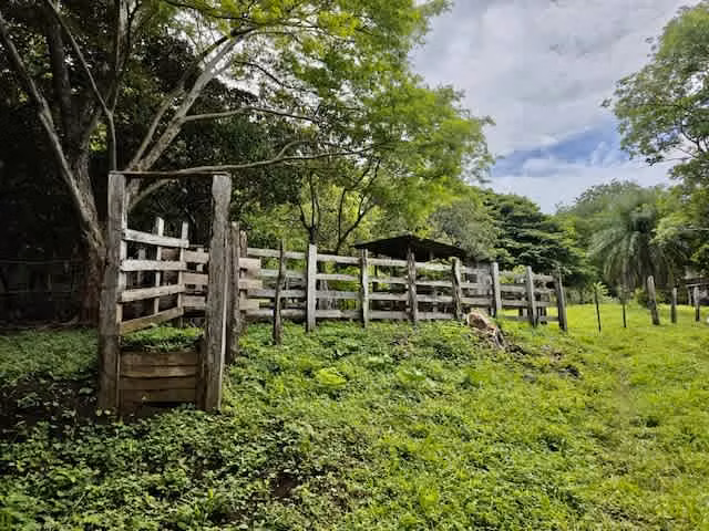 Venta finca Guanacaste Cañas 39,9 hect GANGA - Imagen 13