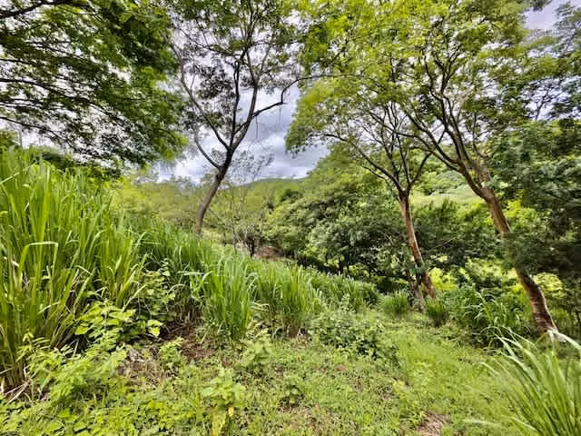 Venta finca Guanacaste Cañas 39,9 hect GANGA - Imagen 9