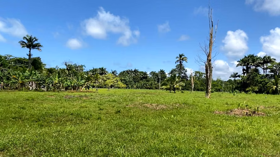 Venta de Finca muy cerca del mar, en Westfalia, Limón - Imagen 12