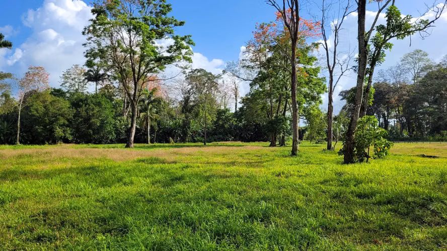 Venta de Finca muy cerca del mar, en Westfalia, Limón - Imagen 7