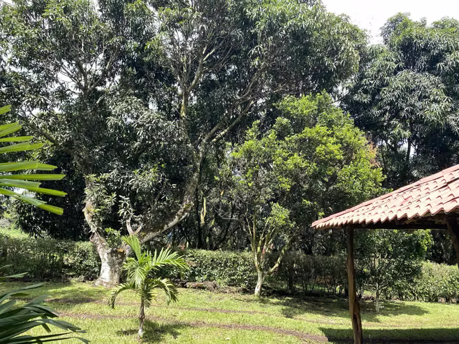 Venta de terreno Sabana Larga de Atenas, Alajuela - Imagen 8