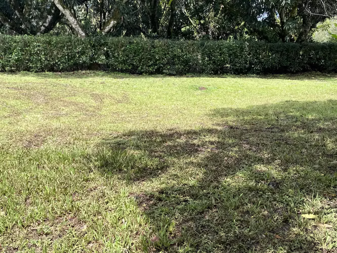 Venta de terreno Sabana Larga de Atenas, Alajuela - Imagen 5