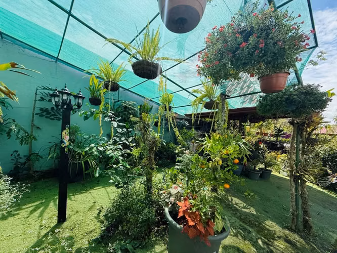Venta de quinta  Las Quebradas, San Francisco, San Isidro, Heredia - Imagen 15