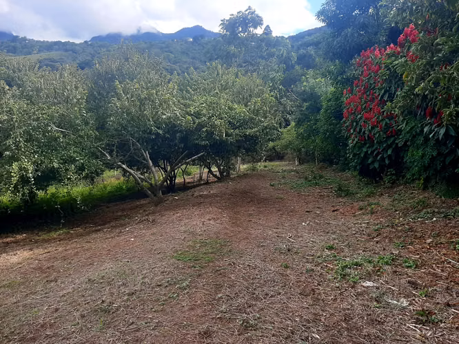 Escazú, Carrizal. Gran lote con espectacular vista MP 25-1136 - Imagen 6