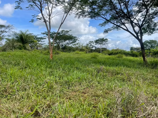 INVERSIONISTAS/ La Ceiba, Orotina terreno con 300 pajas de agua - Imagen 3