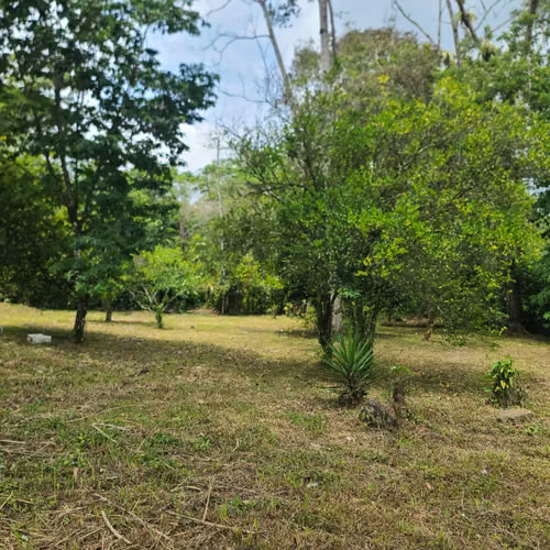 Lote para Quinta 1005 m2 carretera a la Fortuna - Imagen 16