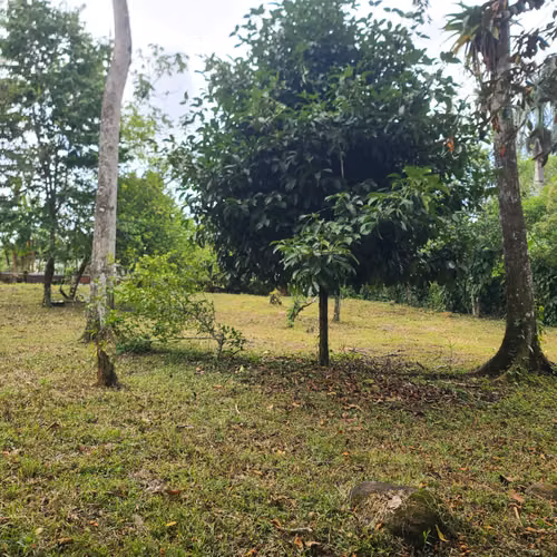 Lote para Quinta 1005 m2 carretera a la Fortuna - Imagen 20