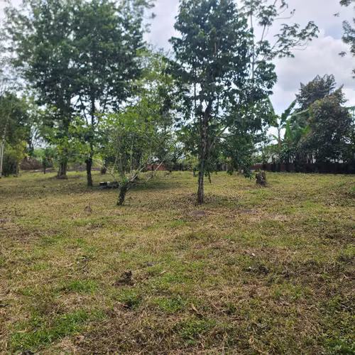 Lote para Quinta 1005 m2 carretera a la Fortuna - Imagen 3