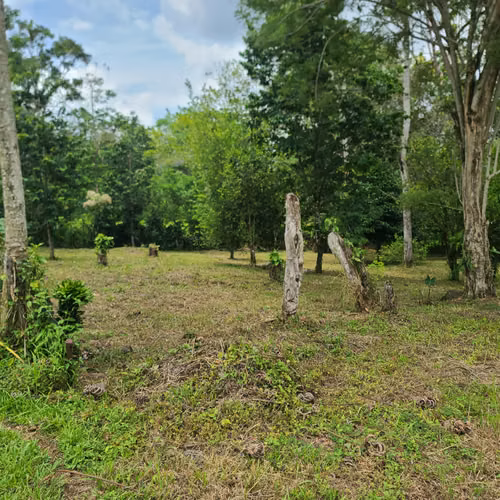 Lote para Quinta 1005 m2 carretera a la Fortuna - Imagen 15