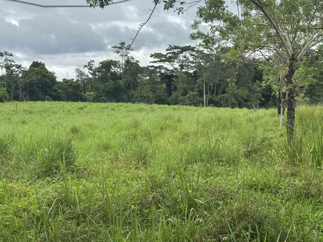 Finca Productiva de 30 ha con Agua Propia – Guatuso
