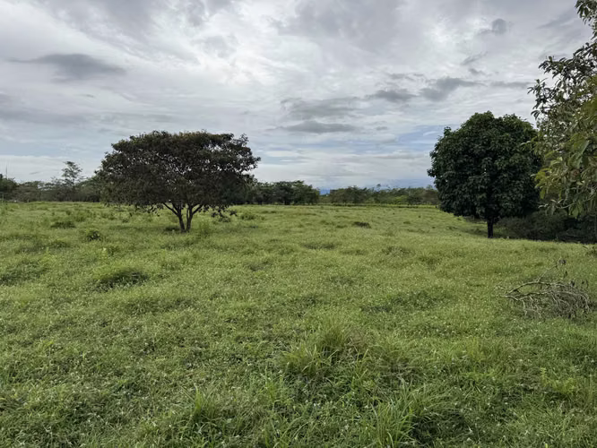 Finca Productiva de 30 ha con Agua Propia – Guatuso