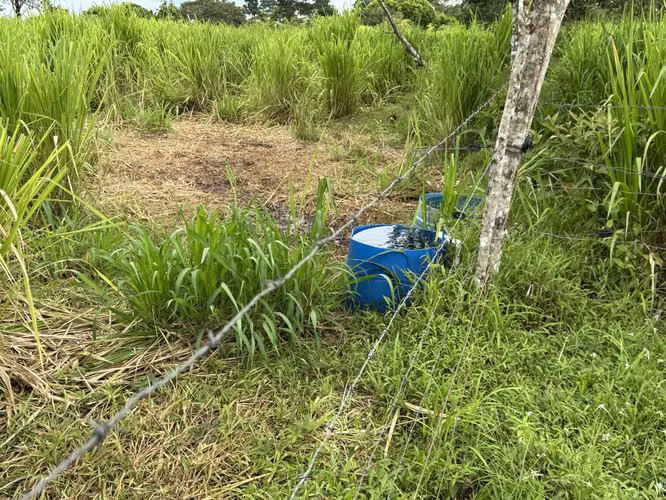 Finca Productiva de 30 ha con Agua Propia – Guatuso