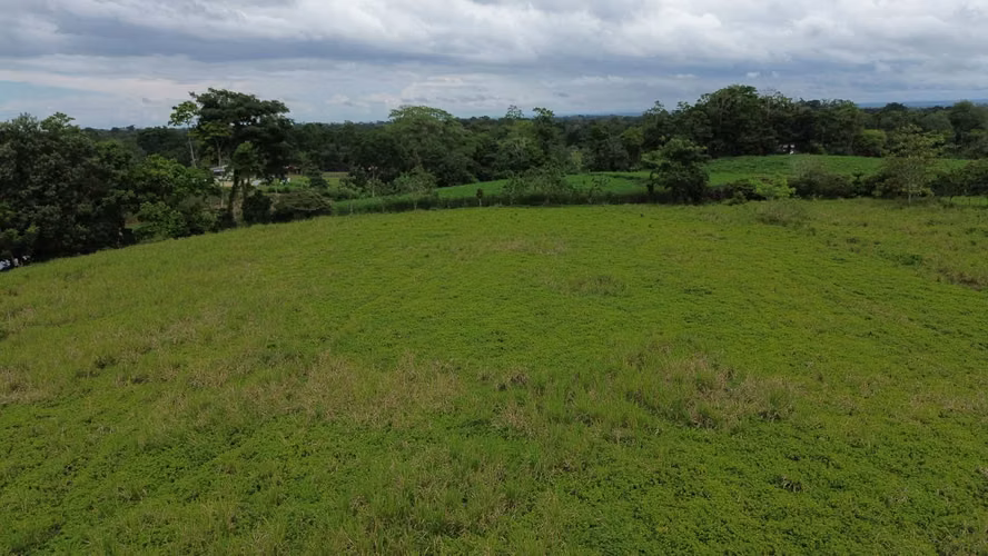 Finca Productiva de 30 ha con Agua Propia – Guatuso
