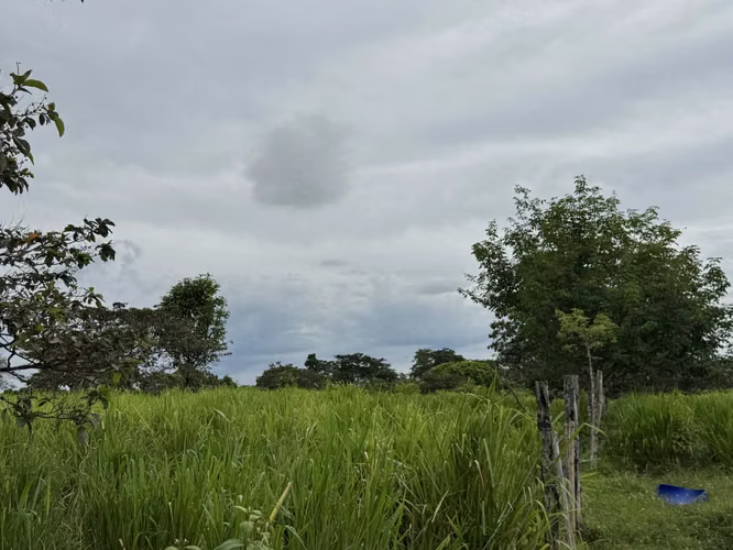 Finca Productiva de 30 ha con Agua Propia – Guatuso