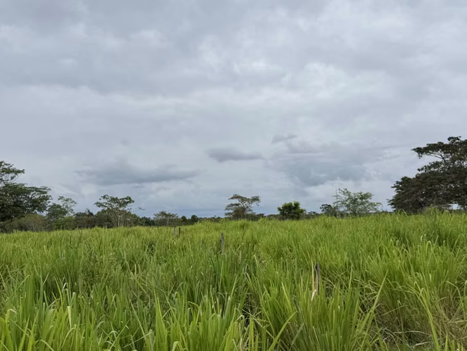 Finca Productiva de 30 ha con Agua Propia – Guatuso