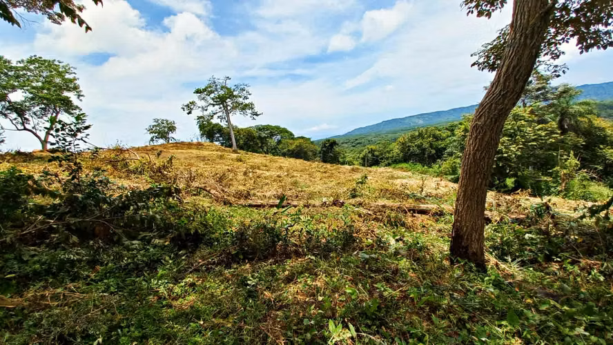 LOTES DE 5000m² EN BAJAMAR CON VISTA AL GOLFO DE NICOYA - Imagen 7