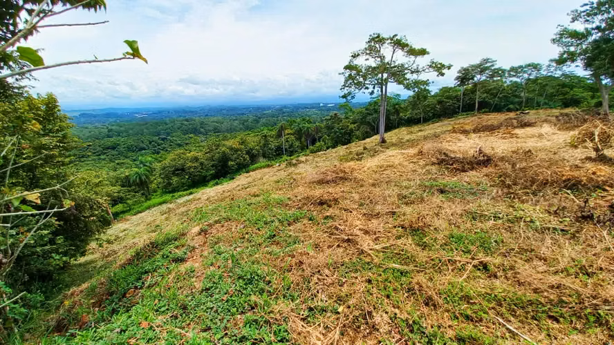 LOTES DE 5000m² EN BAJAMAR CON VISTA AL GOLFO DE NICOYA - Imagen 5