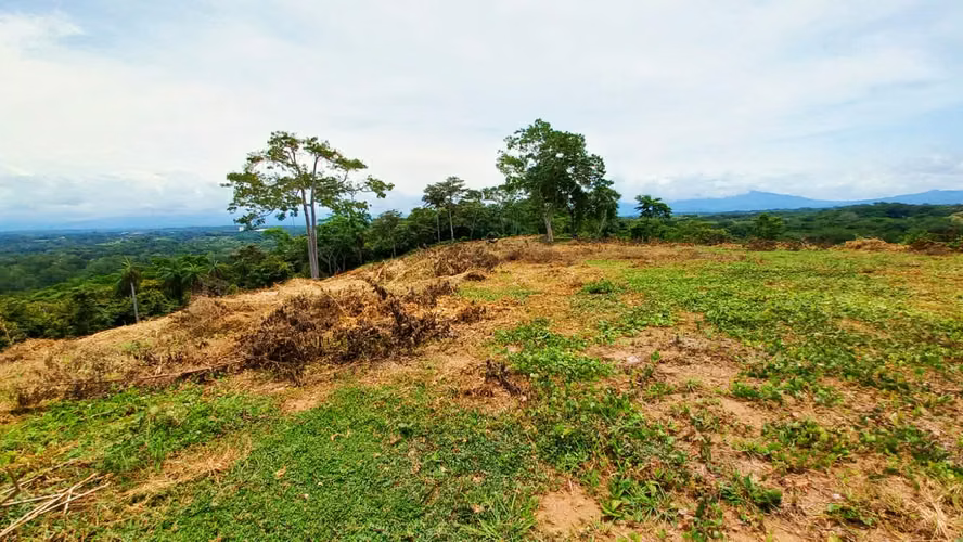 LOTES DE 5000m² EN BAJAMAR CON VISTA AL GOLFO DE NICOYA - Imagen 9