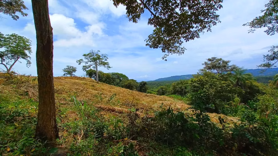 LOTES DE 5000m² EN BAJAMAR CON VISTA AL GOLFO DE NICOYA - Imagen 3