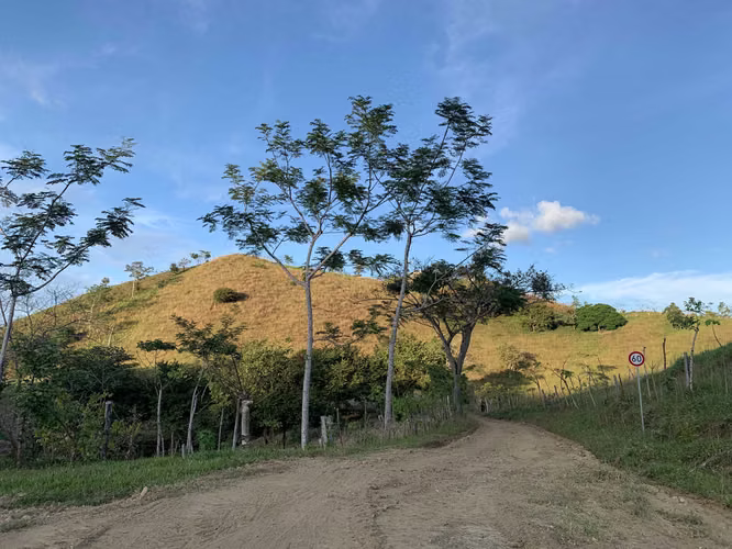 Hacienda con Vista al Océano, 220 Hectareas - Financiamiento Disponible