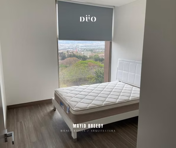 Venta en Hyde Park – Nunciatura