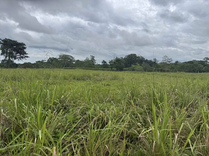 Terreno 5.7 ha en Katira, Guatuso – Excelente Oportunidad