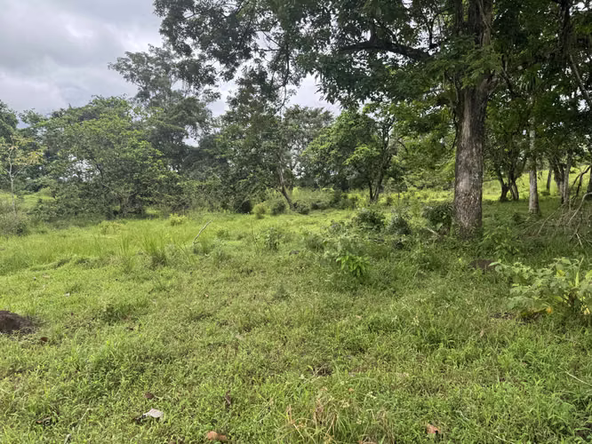 Terreno 5.7 ha en Katira, Guatuso – Excelente Oportunidad
