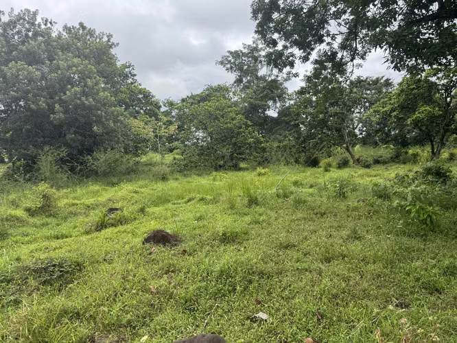 Terreno 5.7 ha en Katira, Guatuso – Excelente Oportunidad
