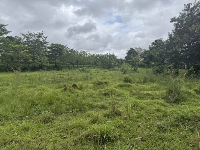Terreno 5.7 ha en Katira, Guatuso – Excelente Oportunidad