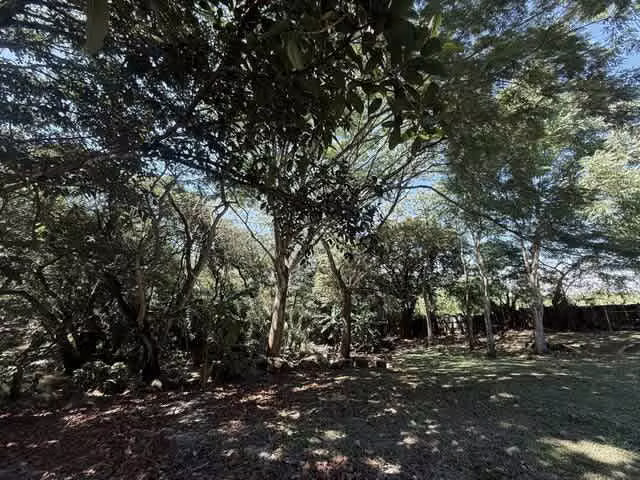 Terreno Comercial en Alquiler en La Guácima | 9.982 m² | Frente a Calle Principal H.A.#26-233 - Imagen 8