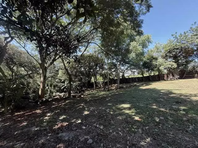 Terreno Comercial en Alquiler en La Guácima | 9.982 m² | Frente a Calle Principal H.A.#26-233 - Imagen 6