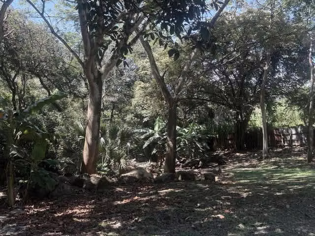 Terreno Comercial en Alquiler en La Guácima | 9.982 m² | Frente a Calle Principal H.A.#26-233 - Imagen 7