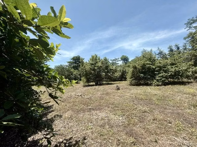 Lote en Venta en Orotina | 5.799 m² | Ideal para Casa Vacacional H.A.26-87 - Imagen 8