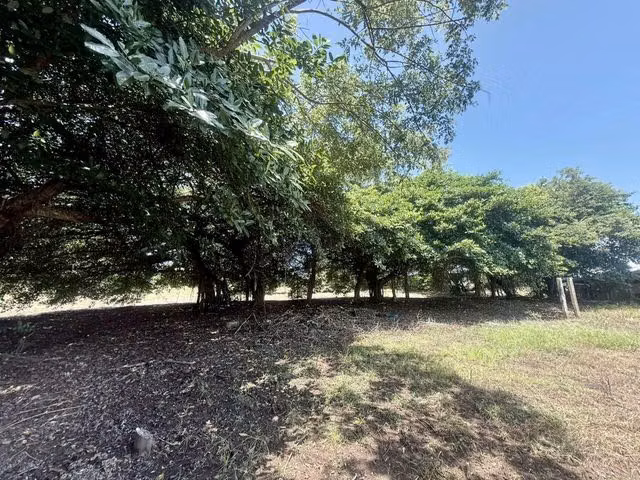 Lote en Venta en Orotina | 5.799 m² | Ideal para Casa Vacacional H.A.26-87 - Imagen 6