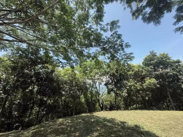Lote en Venta en Condominio en Turrubares | Ideal para Quinta o Casa de Campo H.A.# 26-329 - Imagen 16