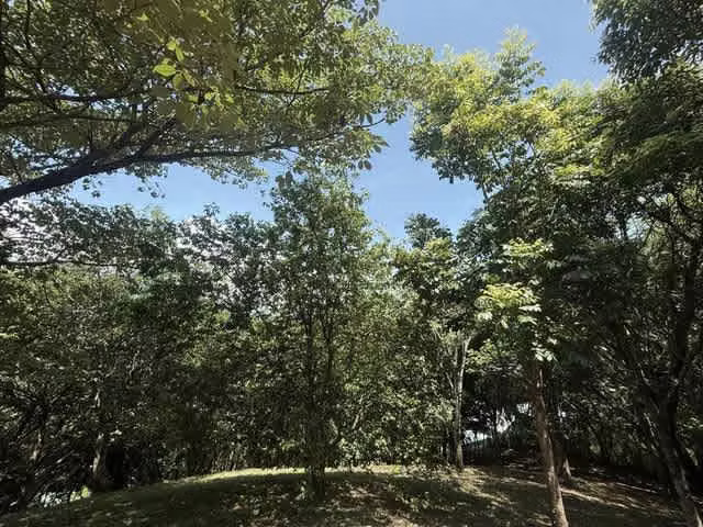 Lote en Venta en Condominio en Turrubares | Ideal para Quinta o Casa de Campo H.A.# 26-329 - Imagen 13