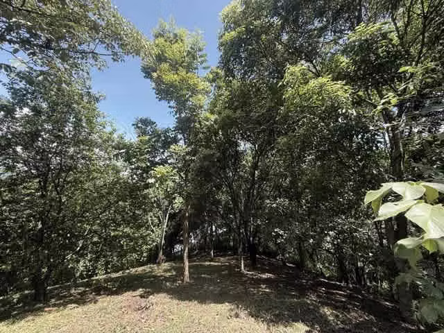 Lote en Venta en Condominio en Turrubares | Ideal para Quinta o Casa de Campo H.A.# 26-329 - Imagen 15