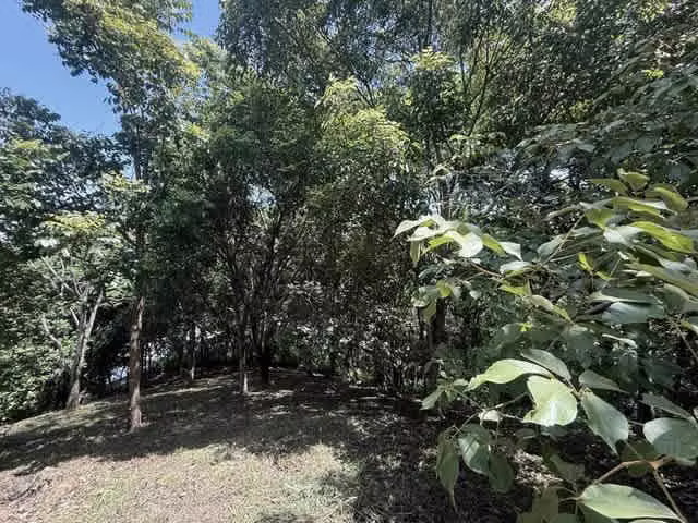 Lote en Venta en Condominio en Turrubares | Ideal para Quinta o Casa de Campo H.A.# 26-329 - Imagen 14
