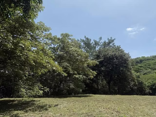 Lote en Venta en Condominio en Turrubares | Ideal para Quinta o Casa de Campo H.A.# 26-329 - Imagen 3