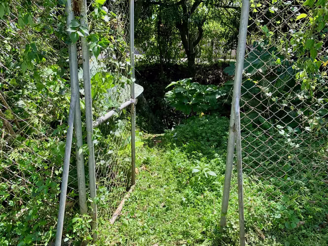 Terreno en Santa Ana Centro – $225,000