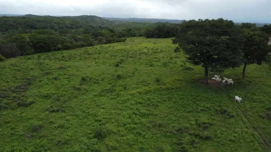  Se vende finca en Guanacaste 