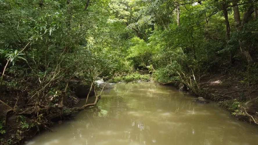  Se vende finca en Guanacaste 