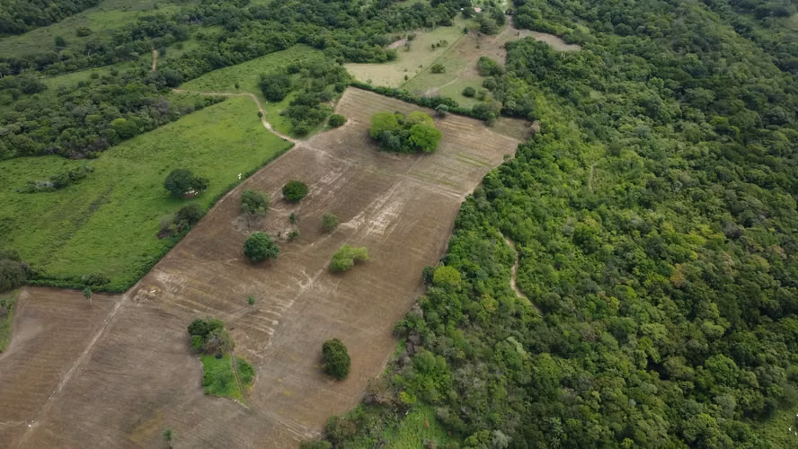  Se vende finca en Guanacaste 